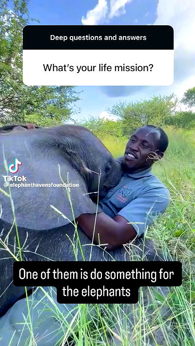 tobynjacobs tobynjacobs archive video