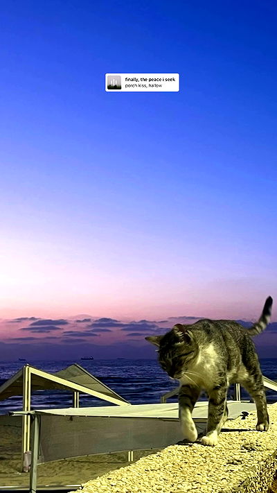 neomiconrad neomiconrad archive video