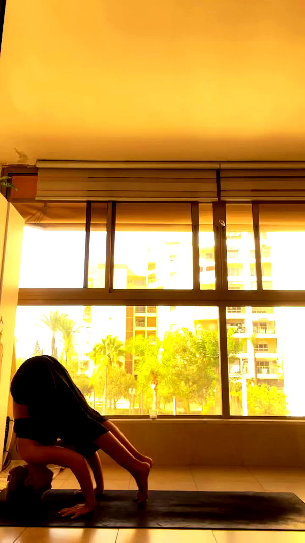 liad.arazi archive video preview