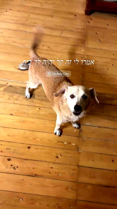 shirakor_ shirakor_ archive video