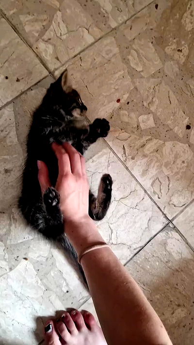 aekamee aekamee archive video