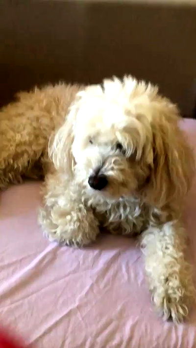 feelbetterinmysweater feelbetterinmysweater archive video