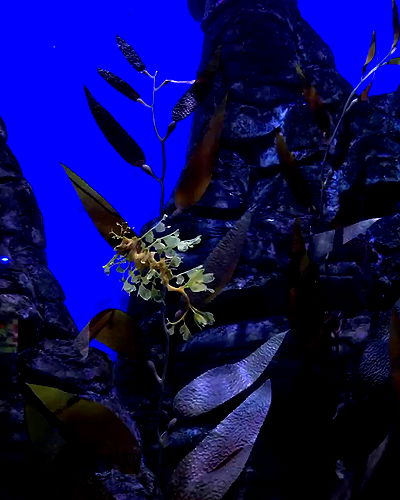 piper.jaylen piper.jaylen archive video