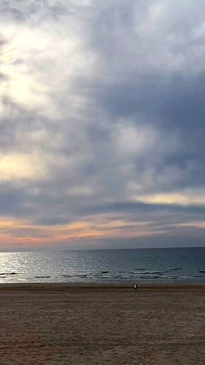 noa_zemlyanski noa_zemlyanski archive video