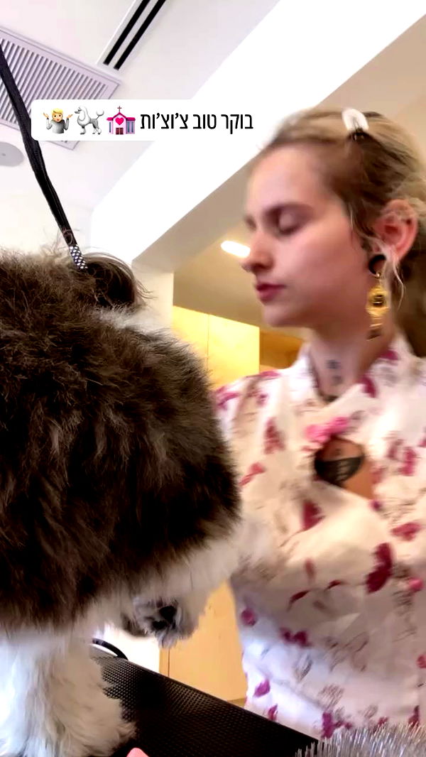 shanikaneko archive video preview