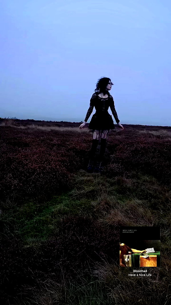 ethylene.xo archive video preview