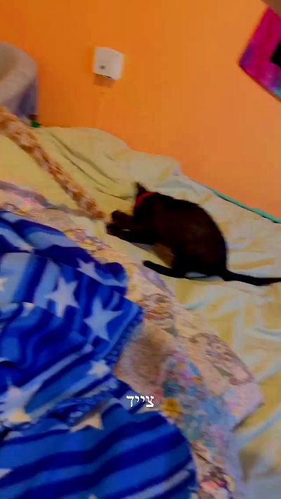 feelbetterinmysweater feelbetterinmysweater archive video