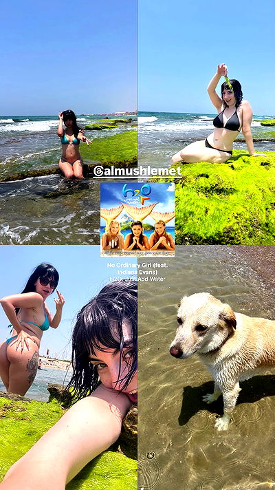 yam_adler yam_adler archive video