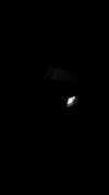 saman.tthaa Altpins Profile Picture