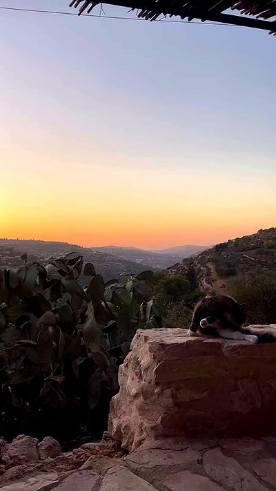 _femalien _femalien archive video