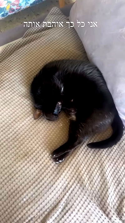 hellokittyangel666 hellokittyangel666 archive video