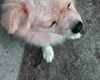 milkimind Altpins Profile Picture