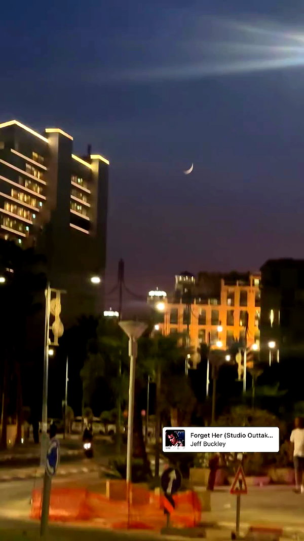 ___shachar archive video preview