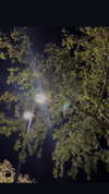 gh0stbl4d3 Altpins Profile Picture