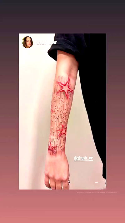 shayli_or shayli_or archive video