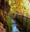elsiearaujoo Altpins Profile Picture