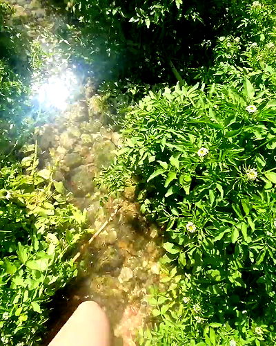 yam_adler yam_adler archive video