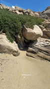 lital.oss Altpins Profile Picture