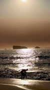 noa_mendel_ Altpins Profile Picture