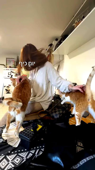 romy_ayalla_lavi romy_ayalla_lavi archive video