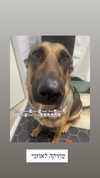 emily_new2 Altpins Profile Picture