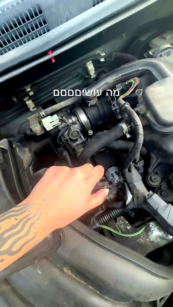 romy_ayalla_lavi archive video preview