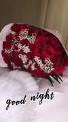 jailyneojeda Altpins Profile Picture