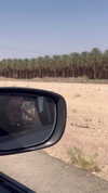 lizi.nazar Altpins Profile Picture
