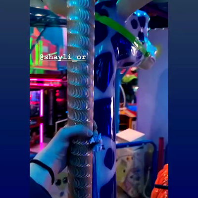 shayli_or shayli_or archive video