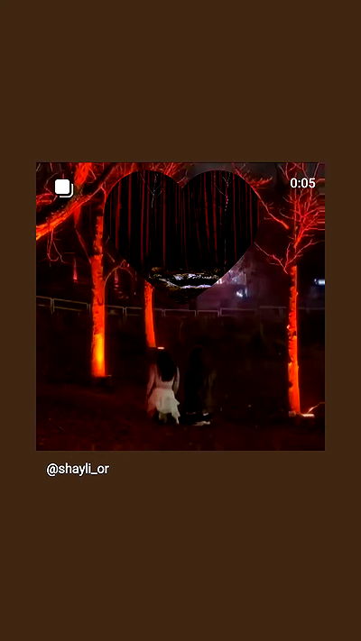 shayli_or shayli_or archive video