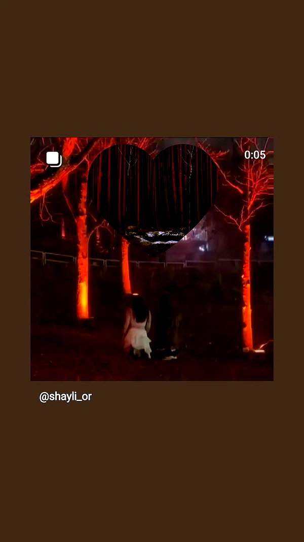 shayli_or archive video preview