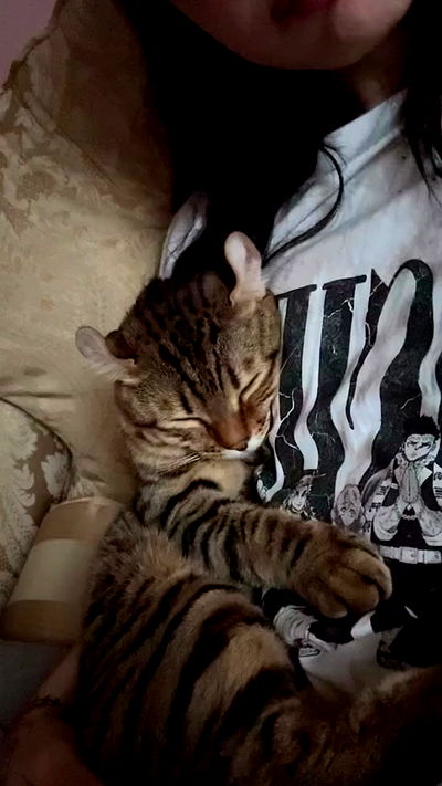 laurinchhhe laurinchhhe archive video