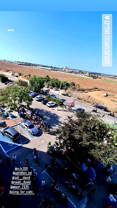 simp_for_cats_ simp_for_cats_ archive video