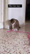 kriiizellda Altpins Profile Picture