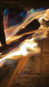sydney_melman Altpins Profile Picture