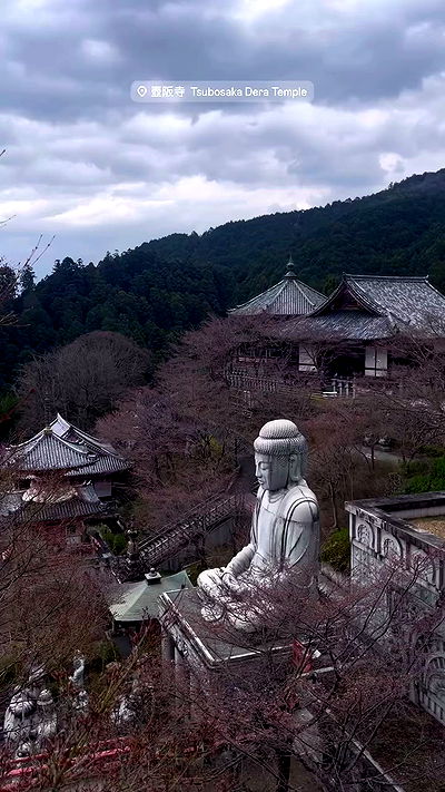 neomiconrad neomiconrad archive video