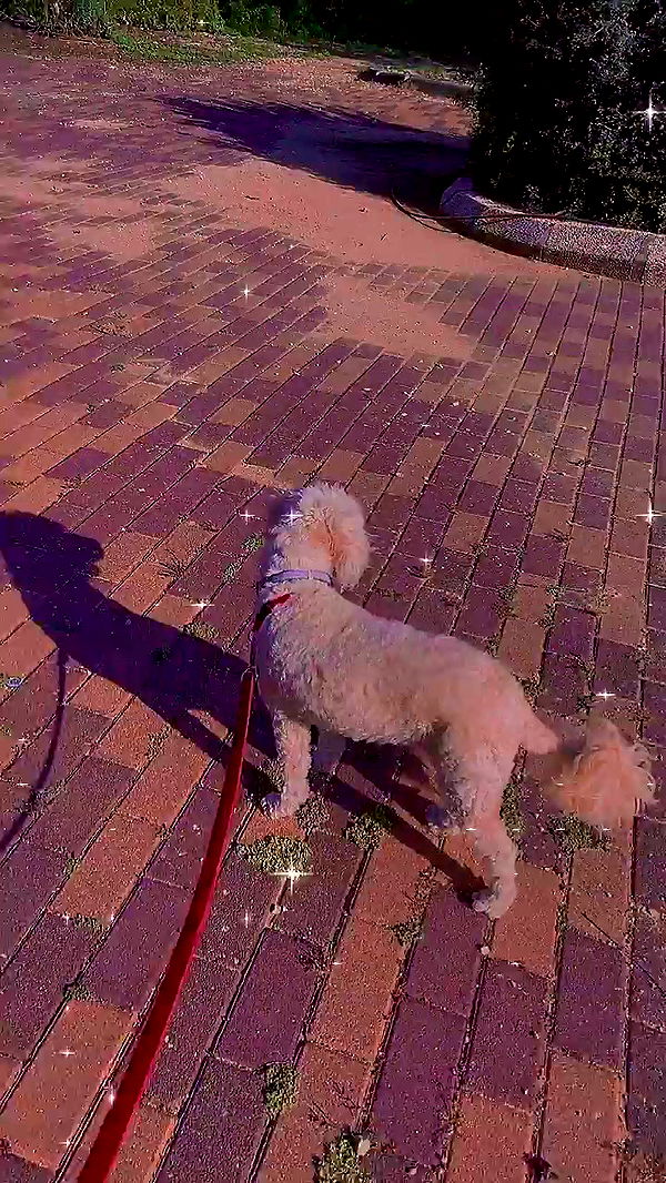 feelbetterinmysweater archive video preview