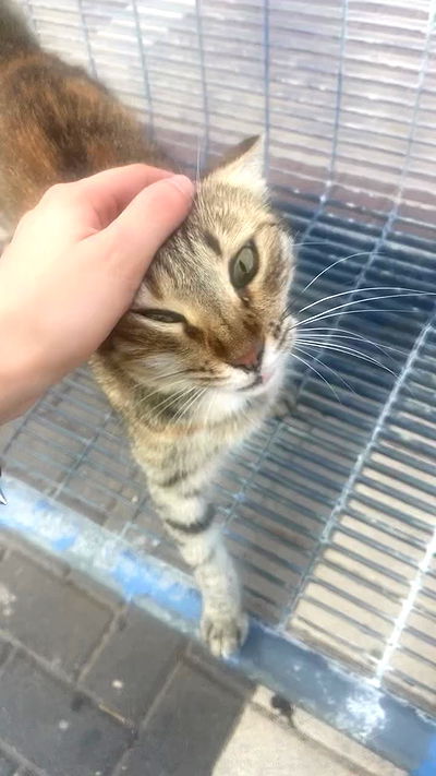 feelbetterinmysweater feelbetterinmysweater archive video