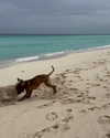 cassie.aguiar Altpins Profile Picture