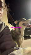 yaarat11 Altpins Profile Picture