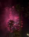 alex.banin Altpins Profile Picture