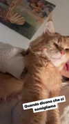 calyen Altpins Profile Picture