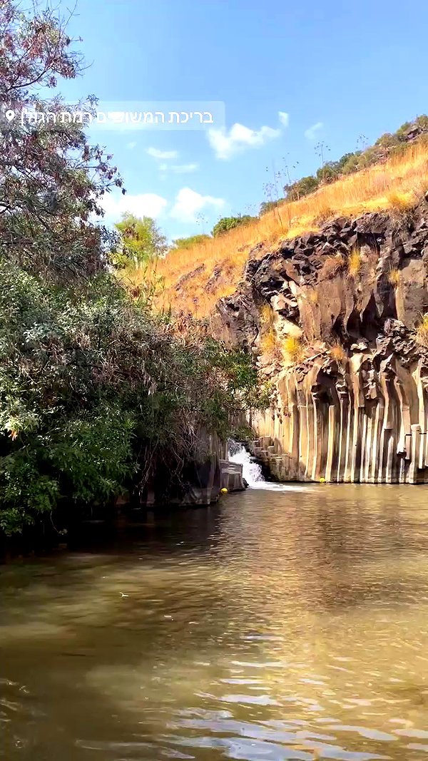 liad.arazi archive video preview