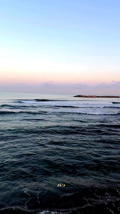 justlerman justlerman archive video