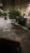 _laleonetti_ Altpins Profile Picture