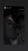 zohar_balaganim Altpins Profile Picture