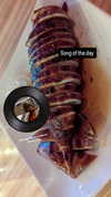 zz.eazoning Altpins Profile Picture