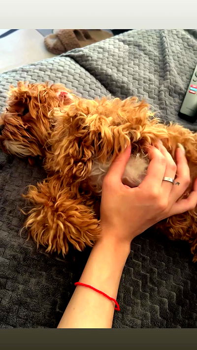 onlykrisssty onlykrisssty archive video