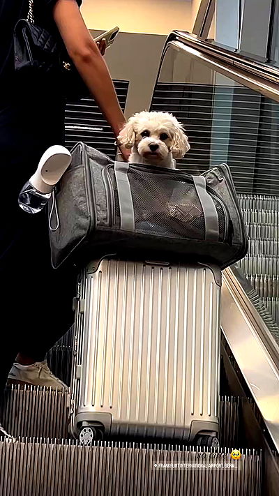 payton.r payton.r archive video