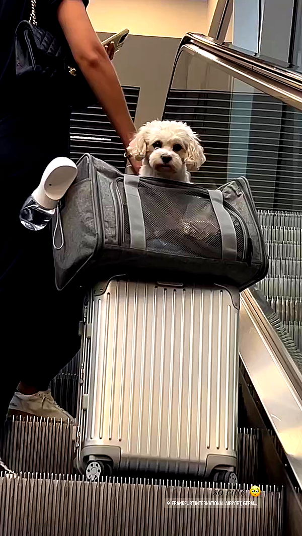 payton.r archive video preview